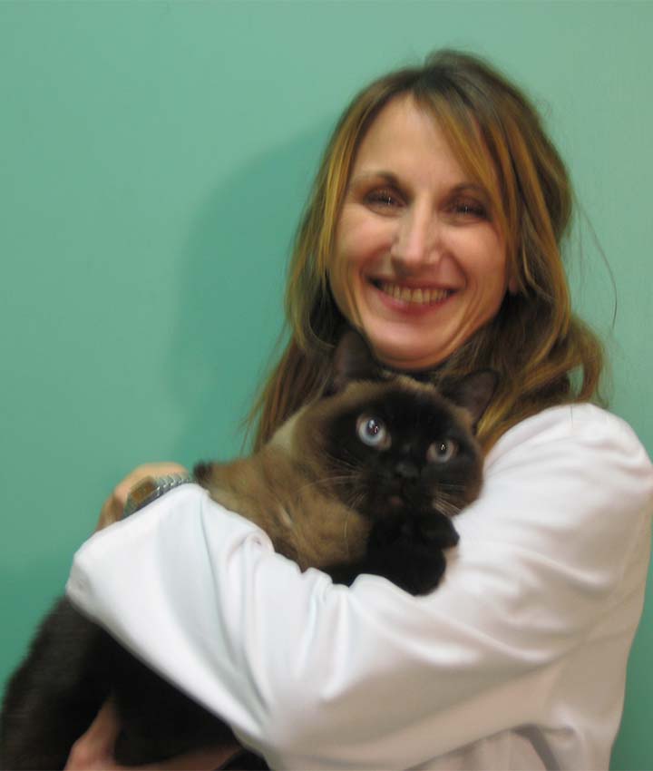 Dr. Sarah Wasmer, DVM KC Cat Clinic